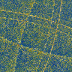 blue textured background decorated with yellow lines