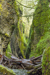 Oneonta Gorge in Multnomah Falls Area