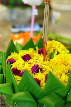Loy Krathong (Thai festival)  /  Krathong, a lotus-shaped vessel (floating illuminated leaf bowl) made of banana leaves usually contains a candle, three joss sticks and some flowers