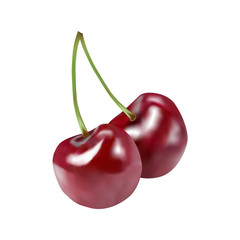 Pair of cherry berries isolated on the white. Vector illustration
