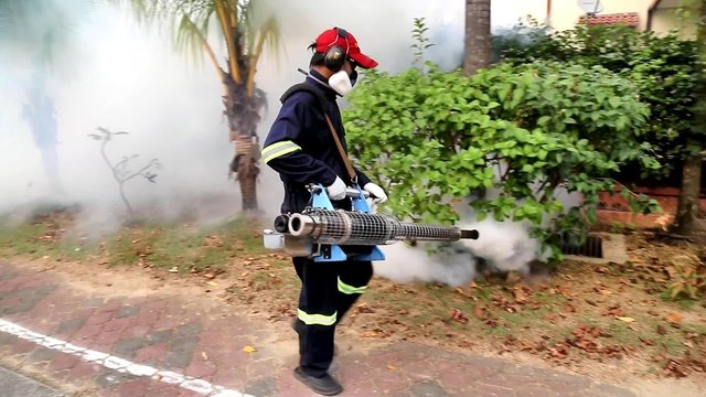 Insecticides fogging activities to kill Aedes mosquitoes in order to control dengue outbreak