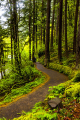 Scenic Trail in Columbia River Gorge, Oregon