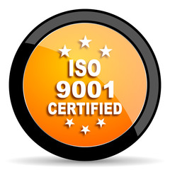 iso 9001 orange icon