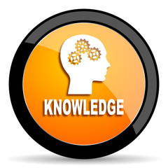 knowledge orange icon