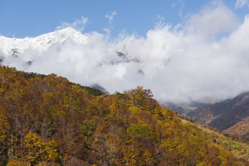 白馬の紅葉と雪山