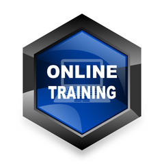 online training blue hexagon 3d modern design icon on white background