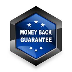 money back guarantee blue hexagon 3d modern design icon on white background