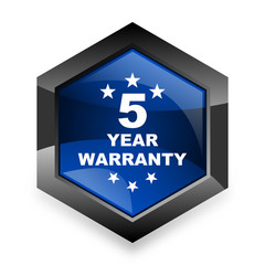 warranty guarantee 5 year blue hexagon 3d modern design icon on white background