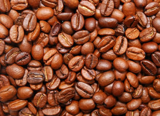 coffee beans