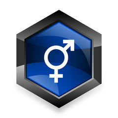 sex blue hexagon 3d modern design icon on white background