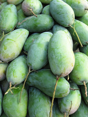Mango fruit , thailand