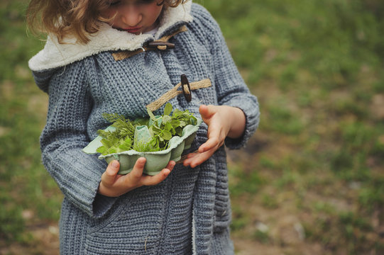 Summer Outdoor Activity For Kids - Scavenger Hunt, Leaves Sorting In Egg Box, Nature Exploration