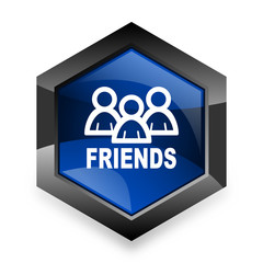 friends blue hexagon 3d modern design icon on white background