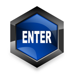 enter blue hexagon 3d modern design icon on white background