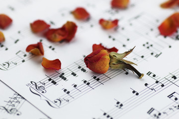 notes and Christmas balls