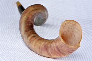 Shofar (horn)