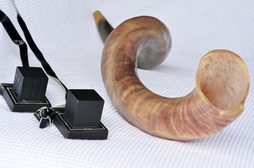 Shofar (horn) with Tefillin
