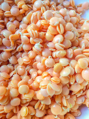 germinating white peas