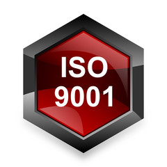 iso 9001 red hexagon 3d modern design icon on white background