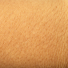 human skin texture