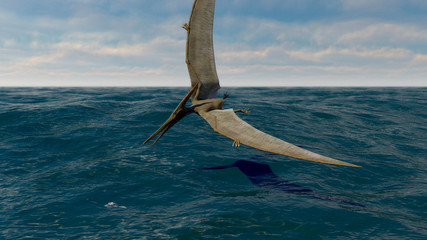 pteranodon © Sergey Drozdov