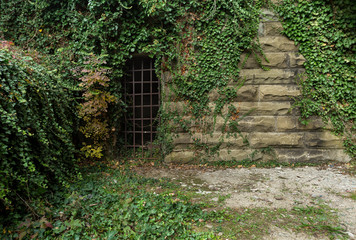 Old stone wall with an iron gate and green ivy