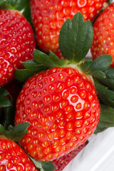 イチゴ　とちおとめ