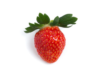 イチゴ　とちおとめ