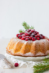 cranberry cake with fresh berry