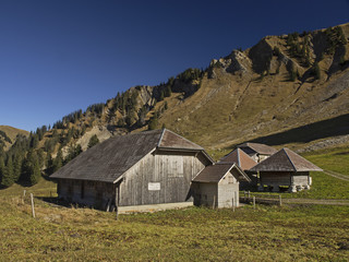 Fototapeta na wymiar Alpine settlement in autumn, Alpsiedlung im Herbstlicht