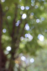 Bokeh blur abstract background