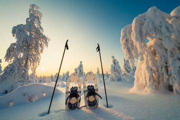Winter landscape with snowy trees and snowshoes - obrazy, fototapety, plakaty
