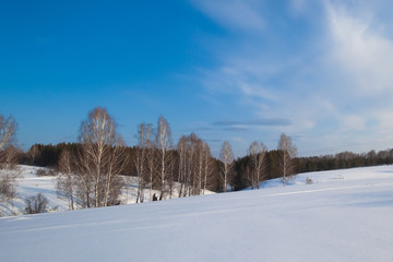 Winter landscape on trees