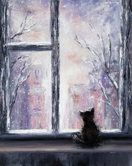 Cat and winter