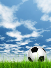 Conceptual 3D soccer ball in field grass with a  sky background