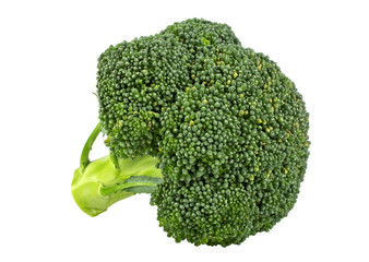 Fresh broccoli isolated on white background