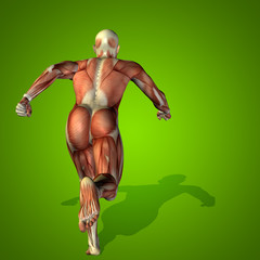 Conceptual 3D human man health anatomy