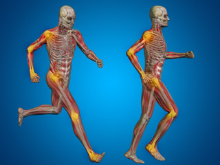 Concept or conceptual 3D human man or male skeleton pain or ache anatomy transparent body