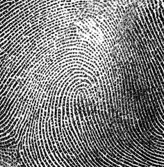 Fingerprint