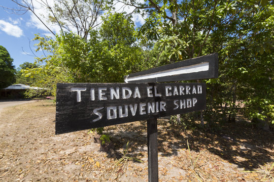 Wooden sign post giving the direction to the souvenir shop written in English with generic forest in the background. Canada National Park, Venezuela