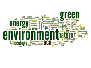 Conceptual ecology word cloud