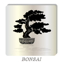 Bonsai silhouette over a pearl background