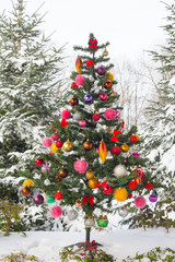 Beautiful Christmas tree outdoor