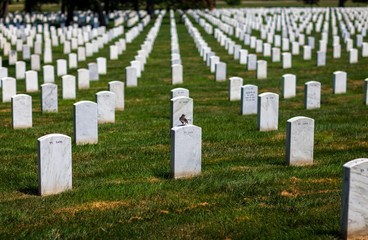 Arlington National Cemetery Virginia VA near Washington DC Unite - 96747610