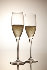 シャンパン スパークリングワイン Champagne Sparkling wine