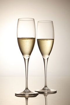 シャンパン スパークリングワイン Champagne Sparkling wine