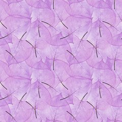 seamless bright background from green leaves