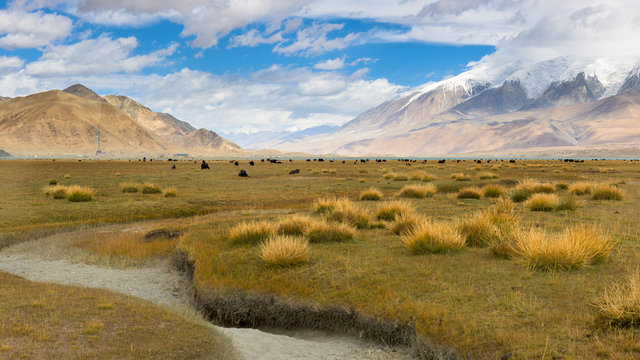 Grassland with Muztagh Ata mountain and Karakuli Lake, Pamir Mountains, Kasgar, Xinjiang, China