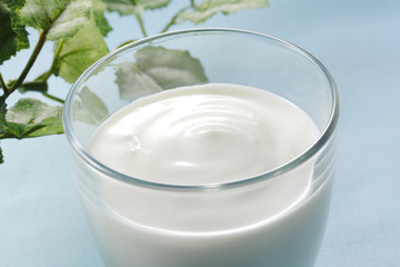 ヨーグルト　Yogurt