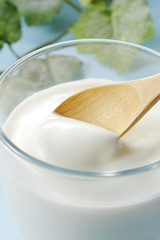 ヨーグルト　Yogurt